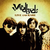 The Yardbirds - Little Queenie (Live at the 4th National Jazz & Blues Festival / 9 August 1964)