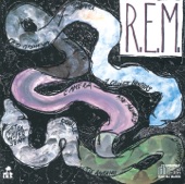 R.E.M. - (Don't Go Back To) Rockville (live)