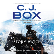 Storm Watch(Joe Pickett)