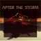 After the Storm artwork