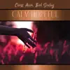 Calm Hopeful Sanctuary on Earth album lyrics, reviews, download