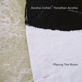 Playing the Room artwork