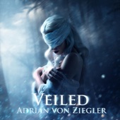 Veiled artwork