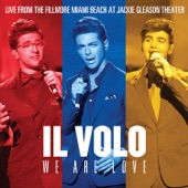 We Are Love (Live From The Fillmore Miami Beach At Jackie Gleason Theater/2013) artwork