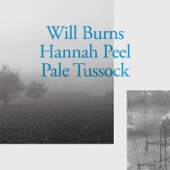 Hannah Peel - Wendover, Bucks