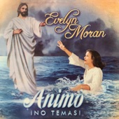 Ánimo, No Temas artwork