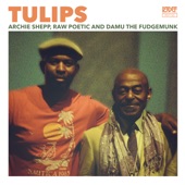 Damu The Fudgemunk - Tulips