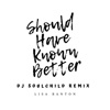 Should Have Known Better (DJ Soulchild Remix) - Single