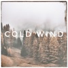 Cold Wind - Single, 2019