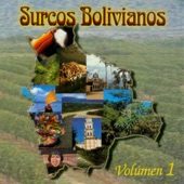 Surcos Bolivianos Vol. 1 artwork