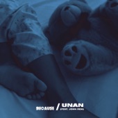 Unan (feat. John Roa) artwork