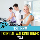 Tropical Walking Tunes Vol.2 artwork