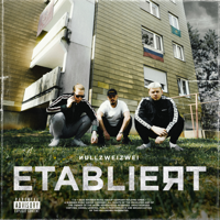 Nullzweizwei - Etabliert artwork