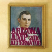 Arizona Amp and Alternator - Where the Wind Turns the Skin To