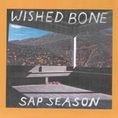 Wished Bone - Hold Me