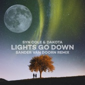 Lights Go Down (Sander van Doorn Remix) artwork
