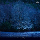 Moonlight 〜Beethoven Anthology〜 artwork