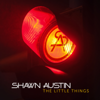 Shawn Austin - The Little Things artwork