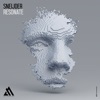 Sneijder - Resonate