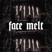 Face Melt artwork