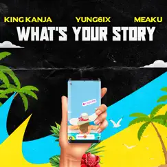What's Your Story - Single by King Kanja, Yung6ix & Meaku album reviews, ratings, credits