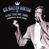 Big Walter Horton - Southern Woman