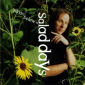 Adrian Belew - Never Enough