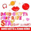 Stay (Don't Go Away) [feat. Raye] [David Guetta & R3HAB Remix] - Single, 2019