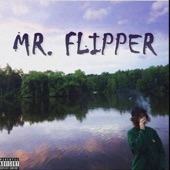 Mr. Flipper artwork