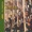 Brownbutter: Eddie Palmieri - Ay Que Rico