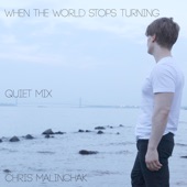 When the World Stops Turning (Quiet Mix) artwork