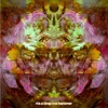Drop the Hammer - Single