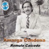 Amarga Condena