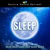 Sleep: Delta Wave 432hz Deep Sleep Music album lyrics, reviews, download