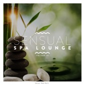 Sensual Spa Lounge, Vol. 10 artwork