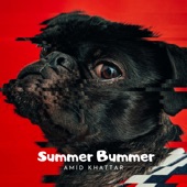 Summer Bummer artwork