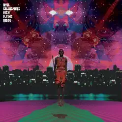 This Is the Place (Dense & Pika Remix) [Remixes] - Single - Noel Gallagher's High Flying Birds