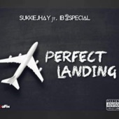 Perfect Landing (feat. Ib2special) artwork
