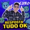 Resposta Tudo Ok - Mc Gato lyrics