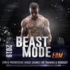 Beast Mode EDM 2019 - Progressive House Sounds For Training & Workout