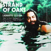 Strand of Oaks - Dirt