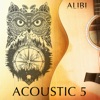 Acoustic, Vol. 5