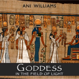 Goddess In The Field Of Light By Ani Williams - 