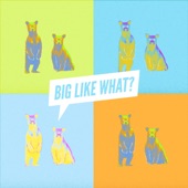 Big Like Bear - Don't Give Me That
