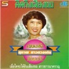 สุภาพ ดาวดวงเด่น - หมอลำหาคู่
