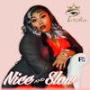 Nice and Slow - Single