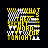 What's The Secret Word Tonight (Arian 911 Remix) artwork