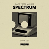 Spectrum (Extended Mix) artwork