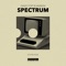 Spectrum (Extended Mix) artwork