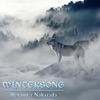 Wintersong - Single